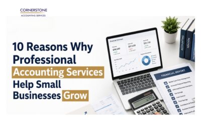 10 Reasons Why Professional Accounting Services Help Small Businesses Grow